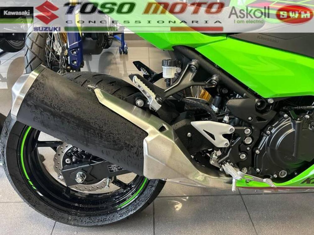 Kawasaki Ninja ZX-4RR (2024 - 25) (4)