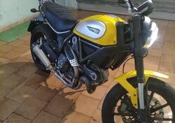 Ducati Scrambler 800 Icon (2015 - 16) usata