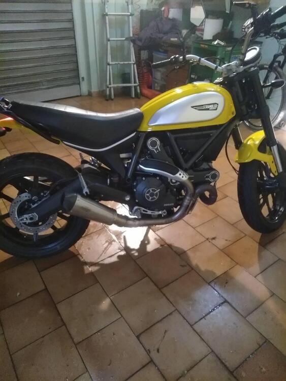 Ducati Scrambler 800 Icon (2015 - 16) (4)