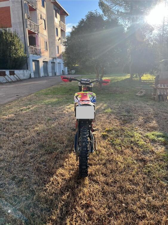 Betamotor RR 125 2T Enduro (2019) (4)