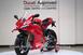 Ducati Panigale V4 S (2025) (6)