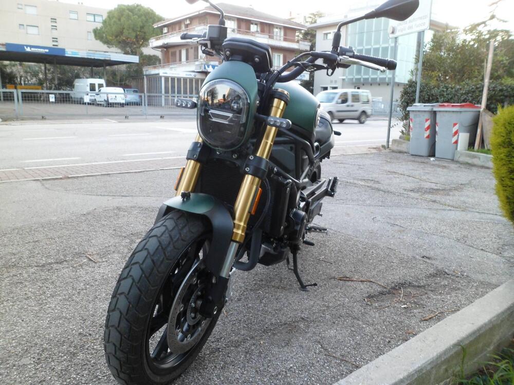 Benelli Leoncino 800 (2022 - 25) (3)