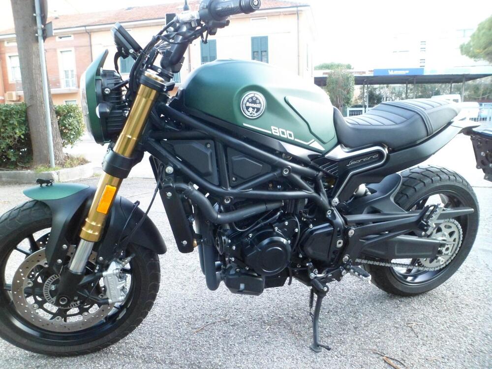 Benelli Leoncino 800 (2022 - 25) (4)