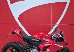 Ducati Panigale V2 (2021 - 24) usata