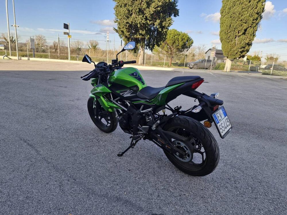 Kawasaki Z 125 (2019 - 20) (3)