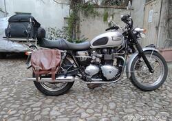 Triumph Bonneville (2007 - 16) usata