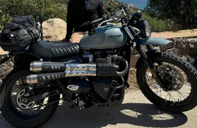 Triumph Street Scrambler 900 (2021 - 22) usata