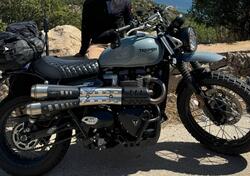 Triumph Street Scrambler 900 (2021 - 22) usata