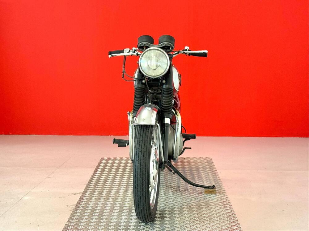 Bsa LIGHTNING 650 (3)