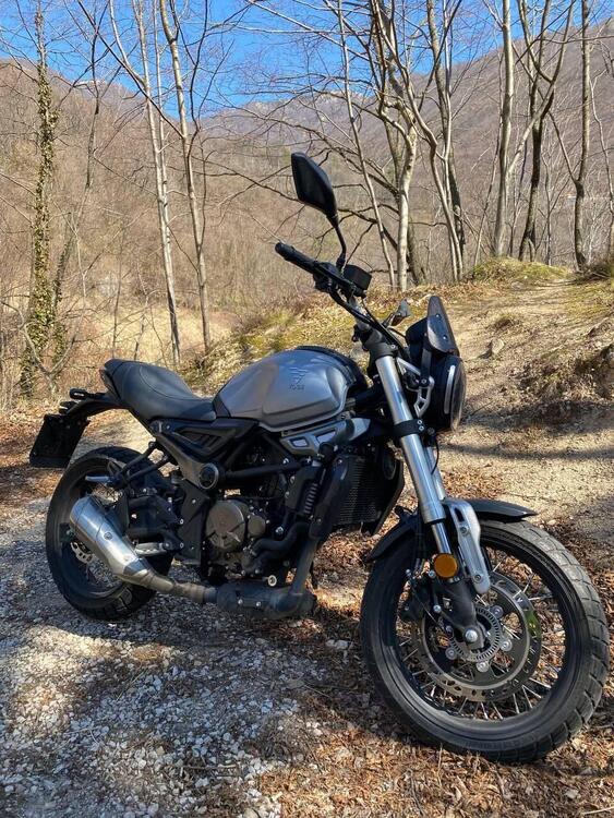 Voge Trofeo 300ACX Scrambler (2021 - 24)