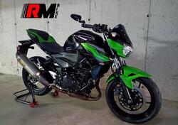 Kawasaki Z 400 (2019 - 20) usata