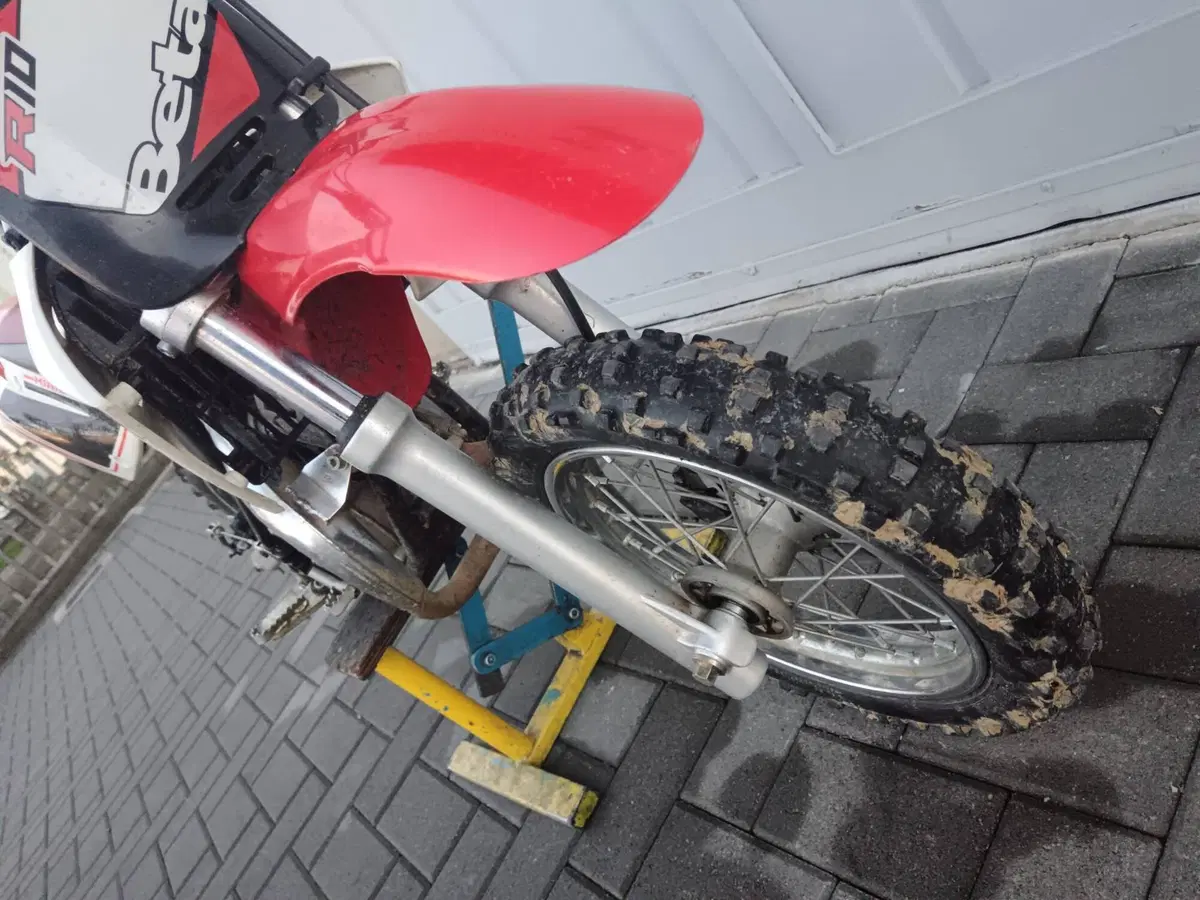 Betamotor Minicross R10 (2014 - 16) (13)