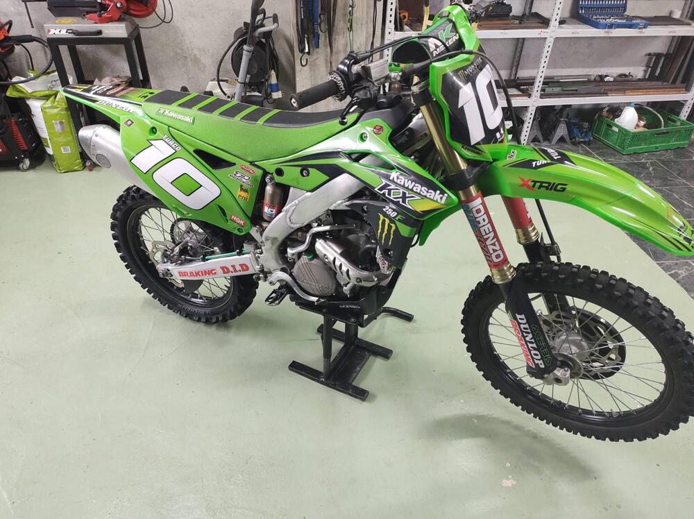 Kawasaki KX 250 F (2013) (3)