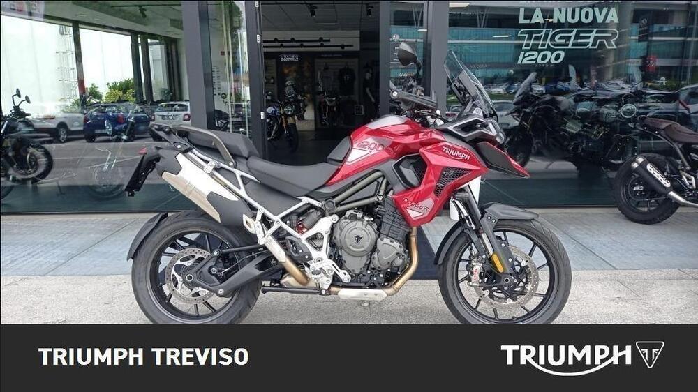 Triumph Tiger 1200 GT Pro (2024 - 25)