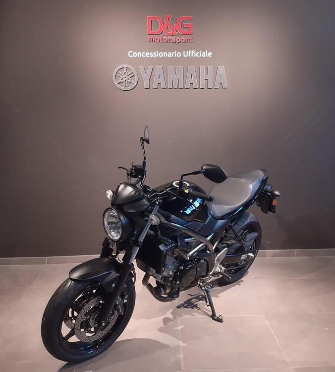 Suzuki SV650 (2021 - 24) (4)