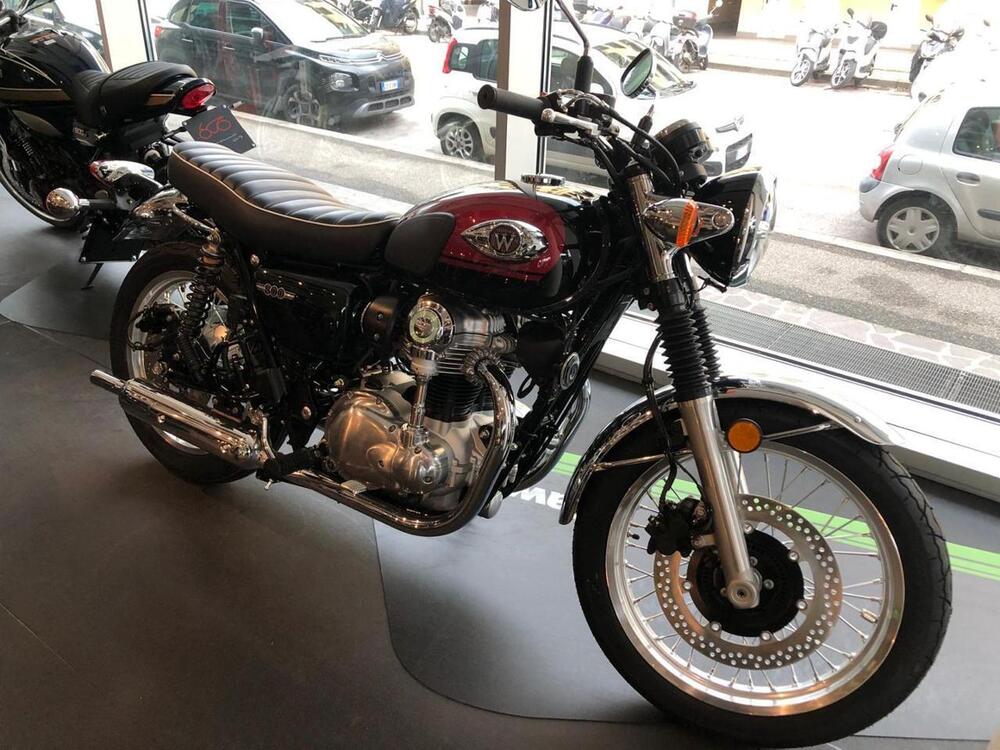 Kawasaki W 800 (2021 - 24) (5)