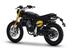 Fantic Motor Caballero 125 Scrambler (2021 - 23) (6)