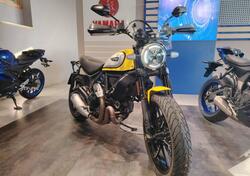 Ducati Scrambler 800 Icon (2021 - 22) usata