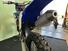 Yamaha YZ 250 F (2012) (14)