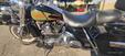 Harley-Davidson road king (12)