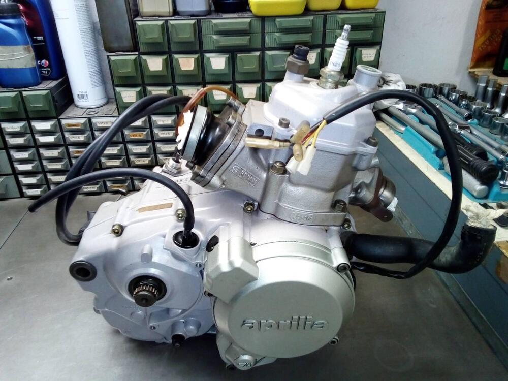 motore rotax 123 Aprilia (3)