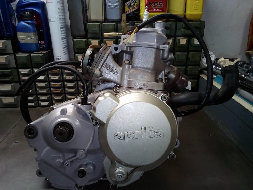 motore rotax 123 Aprilia (4)