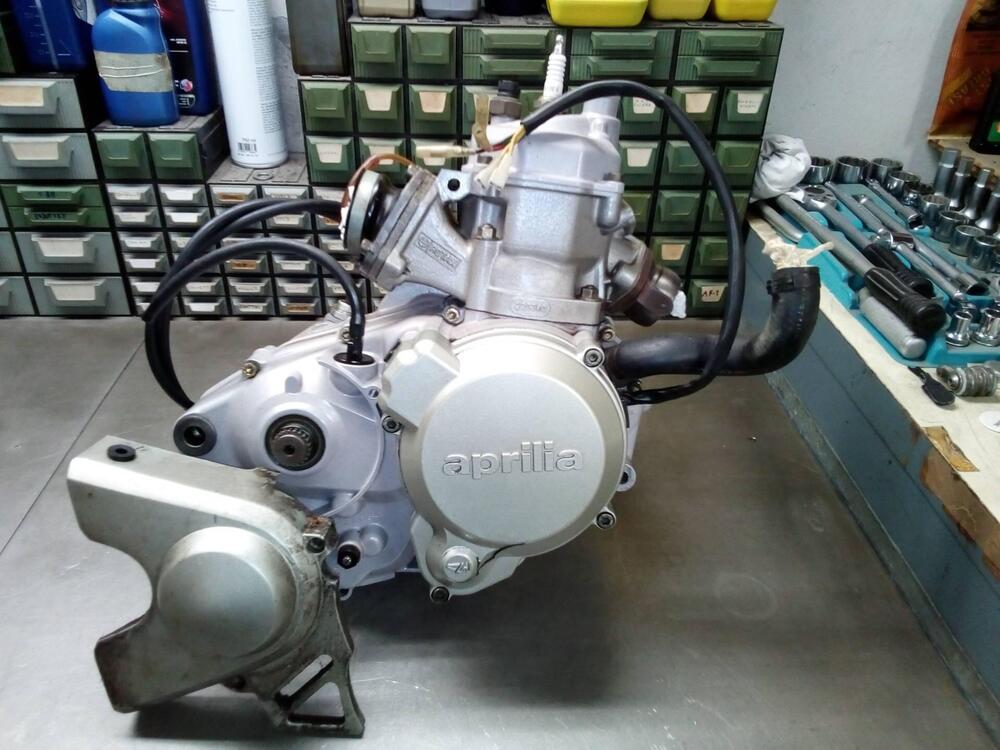 motore rotax 123 Aprilia (5)