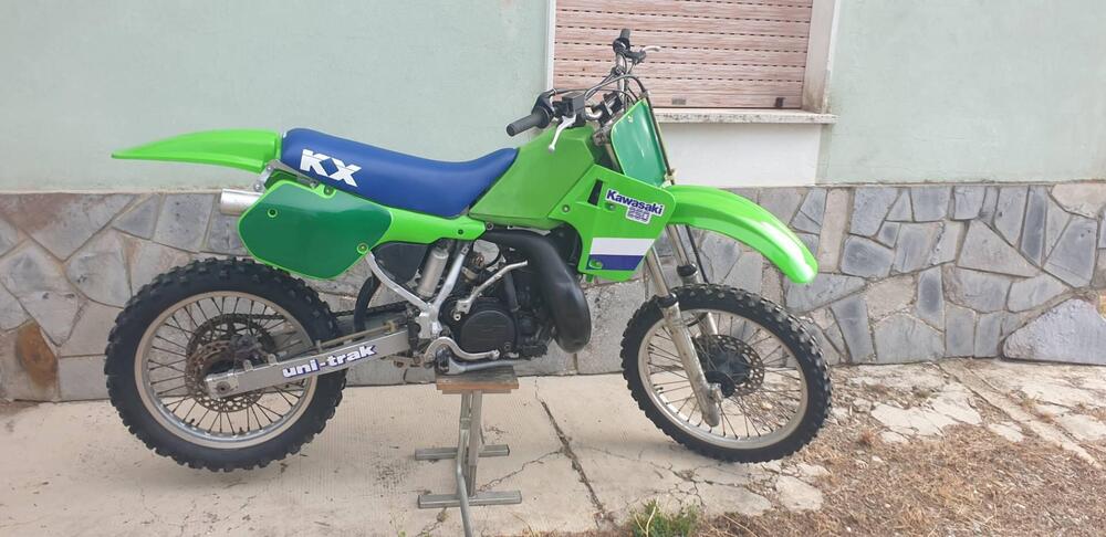 Kawasaki Kx 250 (2)