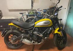 Ducati Scrambler 800 Icon (2017 - 20) usata