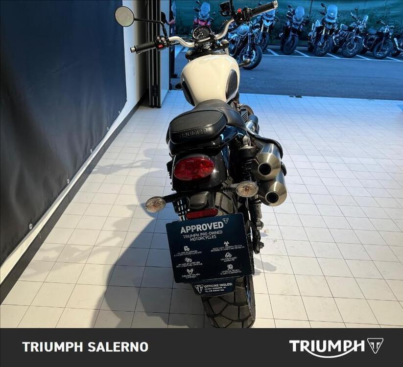 Triumph Street Scrambler 900 (2019 - 20) (4)