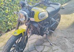 Ducati Scrambler 800 Icon (2017 - 20) usata