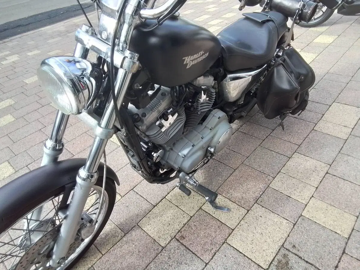 Harley-Davidson 883 Standard (2001 - 05) - XL 883 (8)
