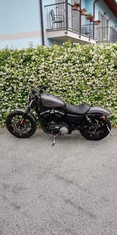 Harley-Davidson 883 Iron (2014 - 16) - XL 883N