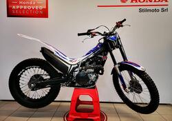 Montesa Cota 4RT 301 RR (2022 - 24) usata