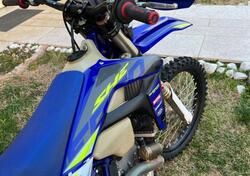 Sherco 300 SEF Factory (2023) usata