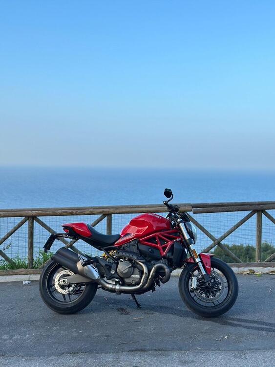 Ducati Monster 821 ABS (2014 - 17) (3)