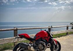 Ducati Monster 821 ABS (2014 - 17) usata