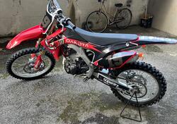 Honda CRF 250 R (2017) usata