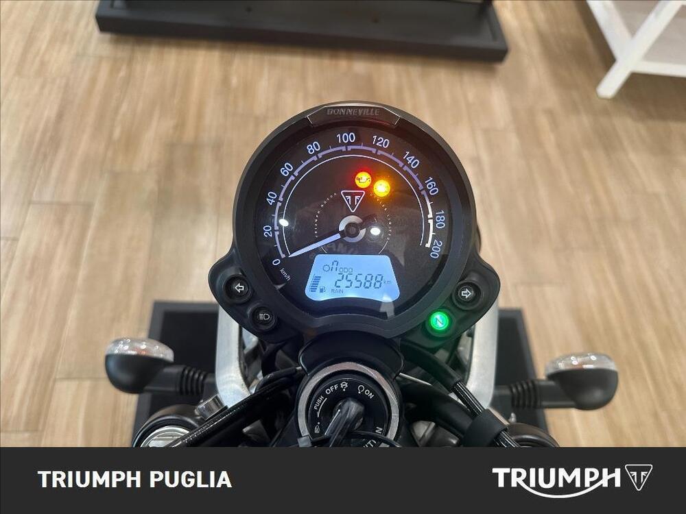 Triumph Street Twin EC1 Special Edition (2022 - 23) (2)