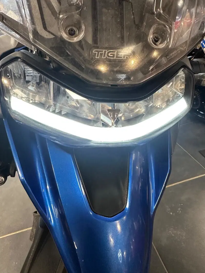 Triumph Tiger 1200 GT Pro (2022 - 23) (8)