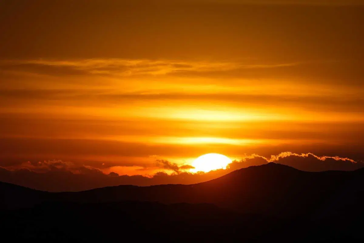 Dakar 2025. Sanders e Lategan i primi… primi! [VIDEO]