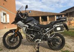 Triumph Tiger 900 Rally Pro (2024 - 25) usata