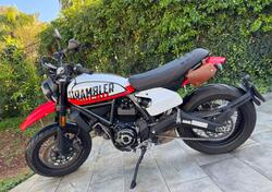 Ducati Scrambler 800 Urban Motard (2022) usata