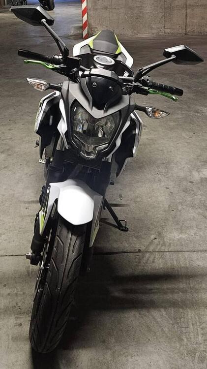 Kawasaki Z 125 (2019 - 20) (2)