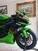 Kawasaki Ninja 636 ZX-6R (2024 - 25) (6)