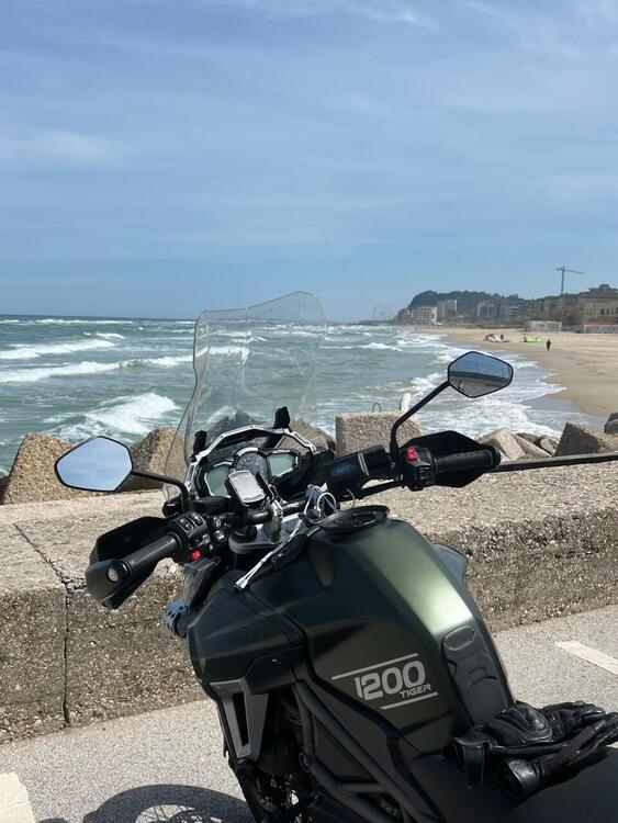 Triumph Tiger 1200 XCa (2018 - 20) (4)