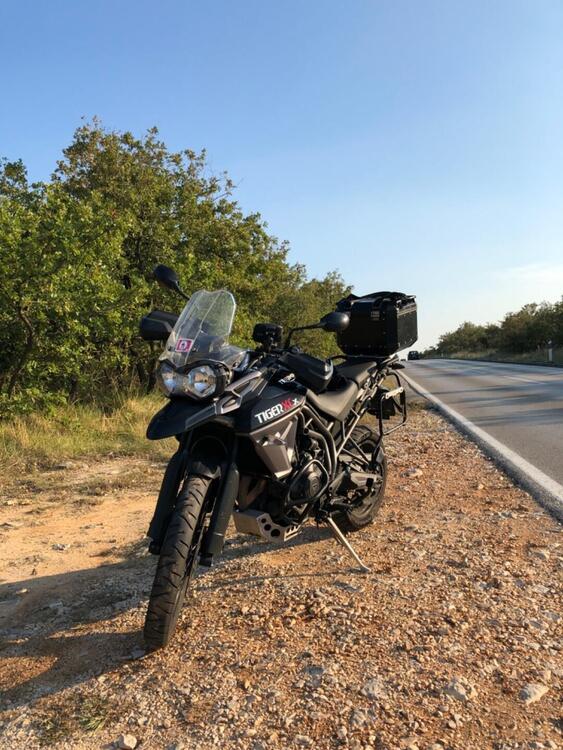 Triumph Tiger 800 XCx (2015 - 17) (3)