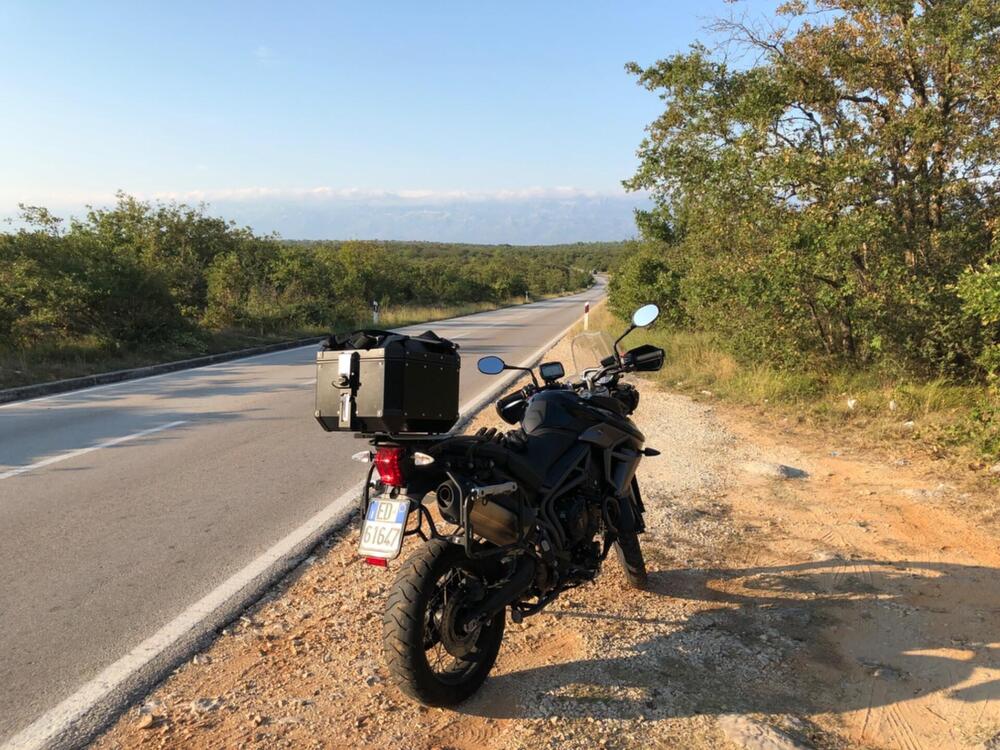 Triumph Tiger 800 XCx (2015 - 17) (5)