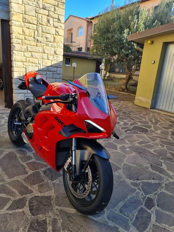 Ducati Panigale V4 (2022 - 24) (4)