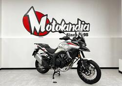 Morbidelli T1002VX (2024 - 25) nuova